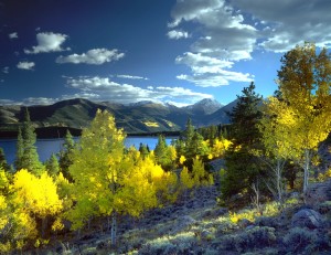 Best Places to See the Fall Colors in Colorado Springs and Beyond